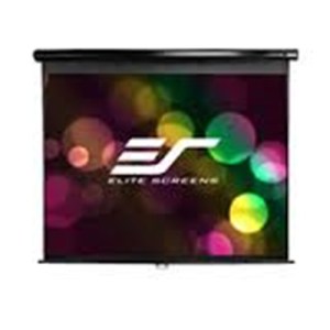100" 169 PULL DOWN SCREEN MANUAL WALL / CEILING MOUNT WHITE CASING